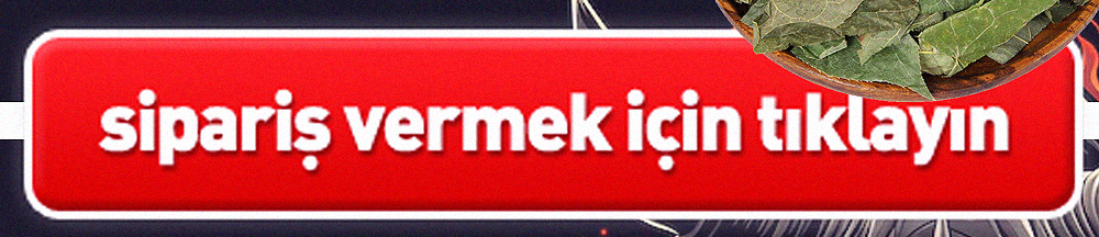Gergedan